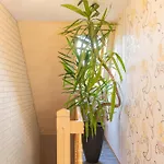 An Der Eichenallee, 35200 Appartement Hesel