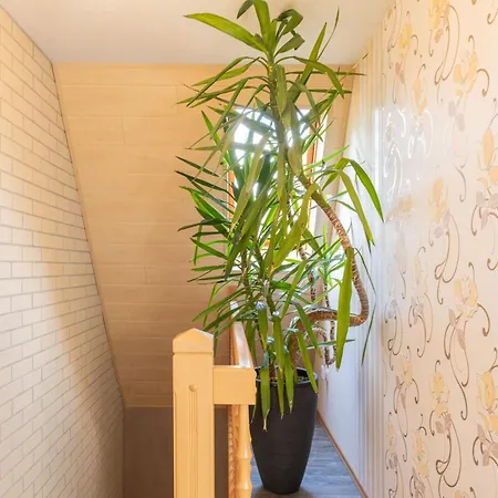 An Der Eichenallee, 35200 Appartement Hesel