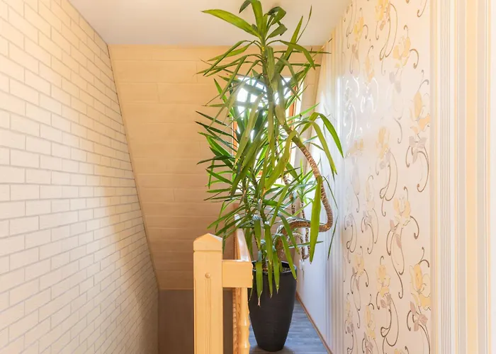 An Der Eichenallee, 35200 شقة Hesel