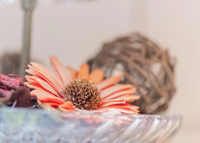 شقة An Der Eichenallee, 35200 Hesel